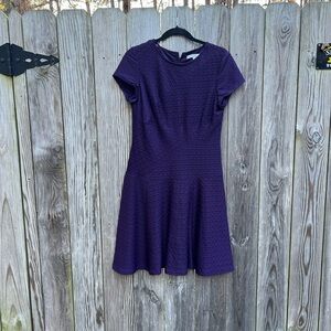 SANDRA DARREN Fit n Flare Purple Dress Women’s 10